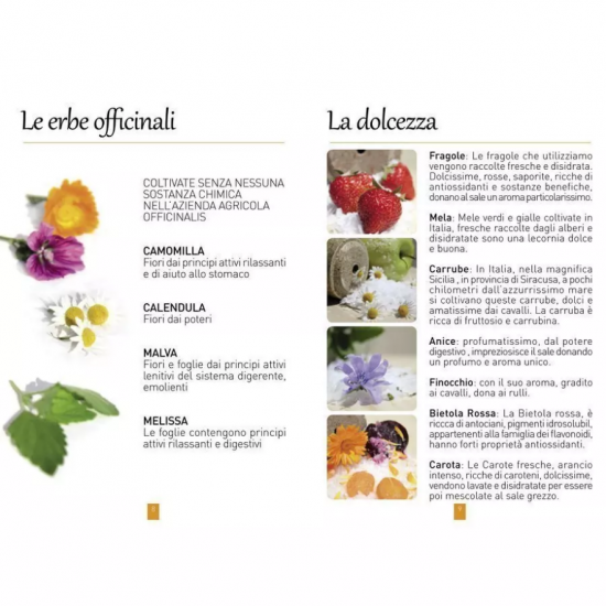 Integratore salino per cavalli Dalla Grana Officinalis Lollyroll Fragole, Carrube e Malva 2 pezzi ricarica